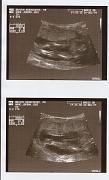 Scanned Photo-4